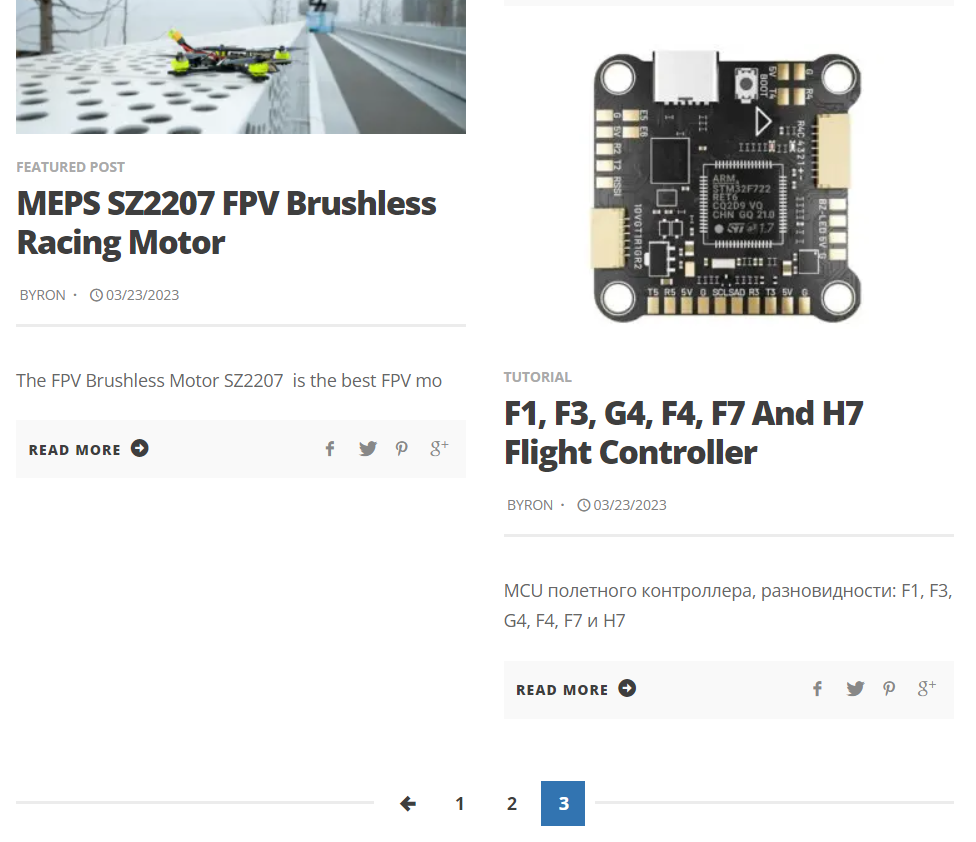 MEPSKING First Article